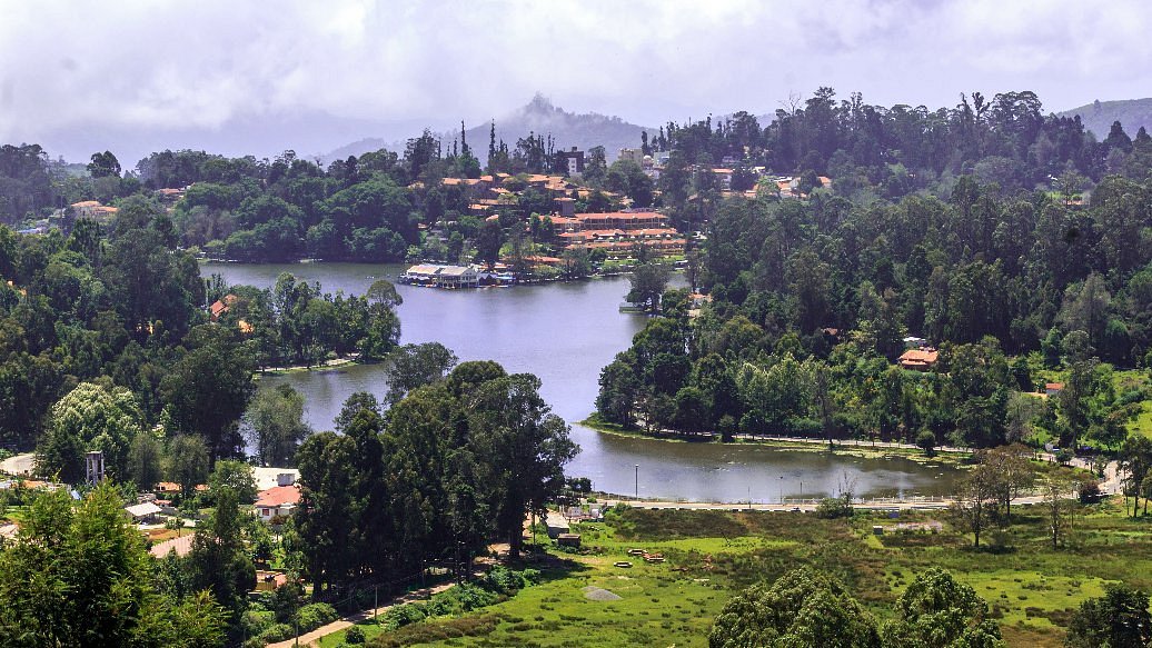 KODAIKANAL LAND FOR SALE